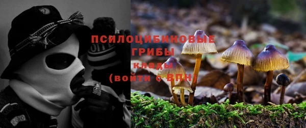 СК Абинск