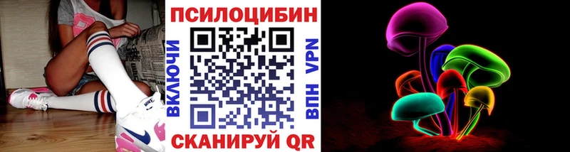 закладка  Оренбург  Псилоцибиновые грибы Cubensis 
