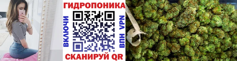 Канабис ГИДРОПОН  Оренбург 